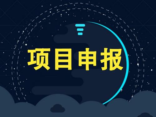 企業(yè)可以獨自申請項目補貼嗎？成功率怎么樣？